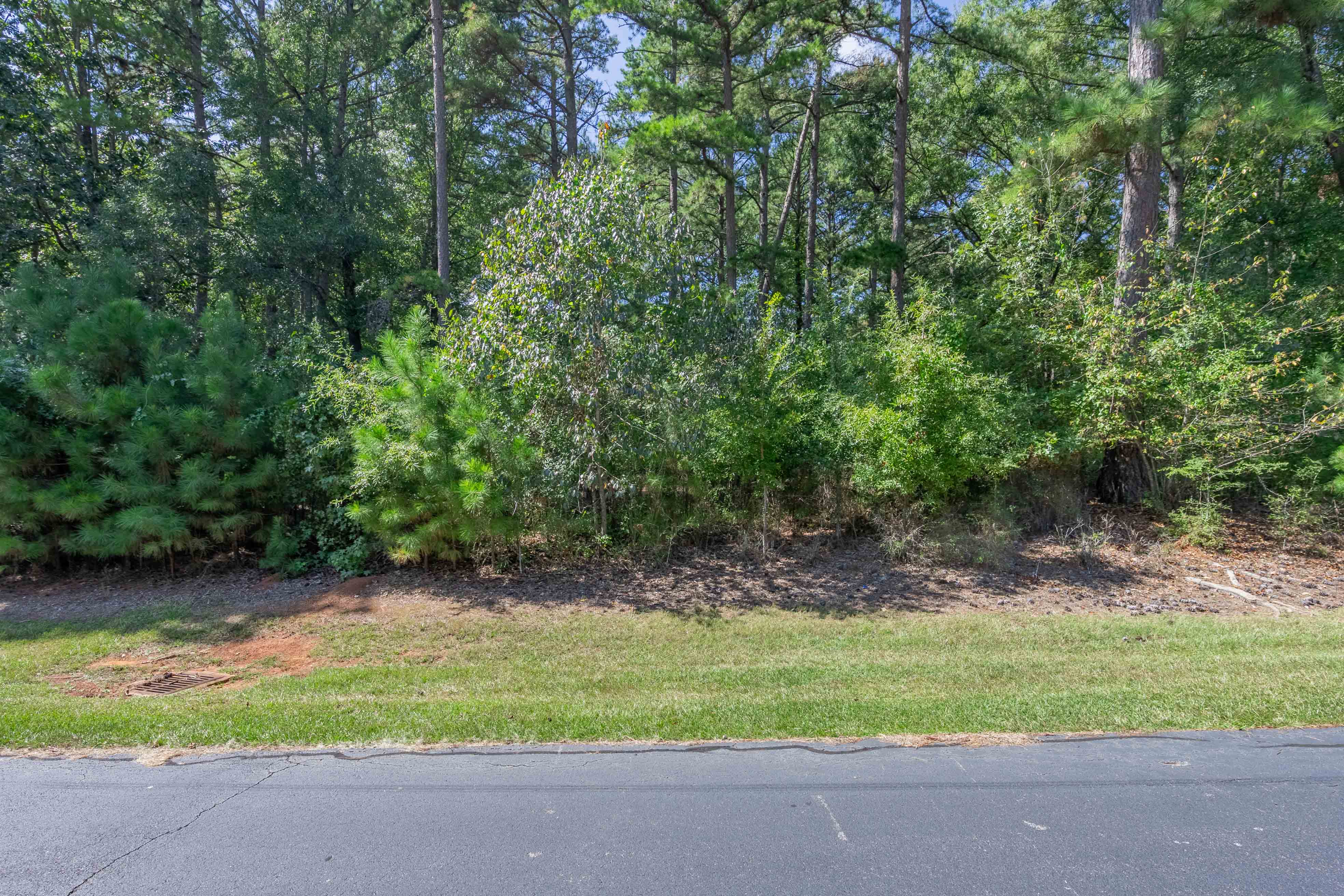 132 Porterfield Drive image 2